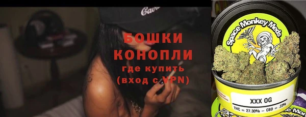 сатива Дмитриев