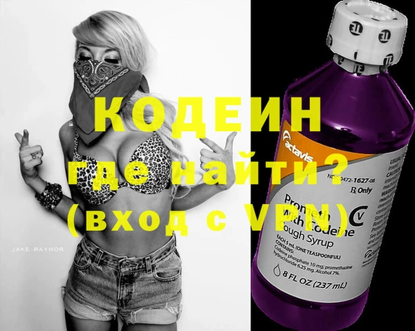 сатива Дмитриев