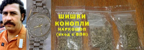 сатива Дмитриев