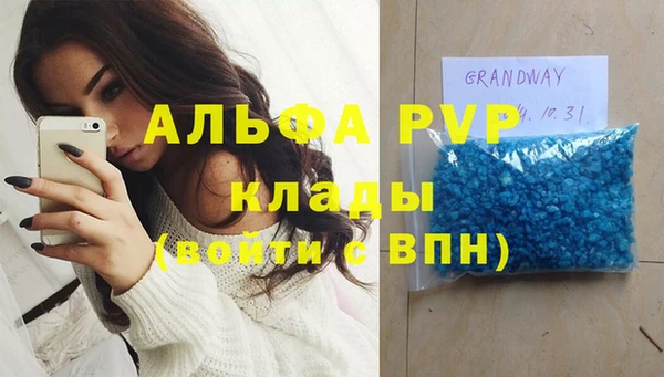 сатива Дмитриев